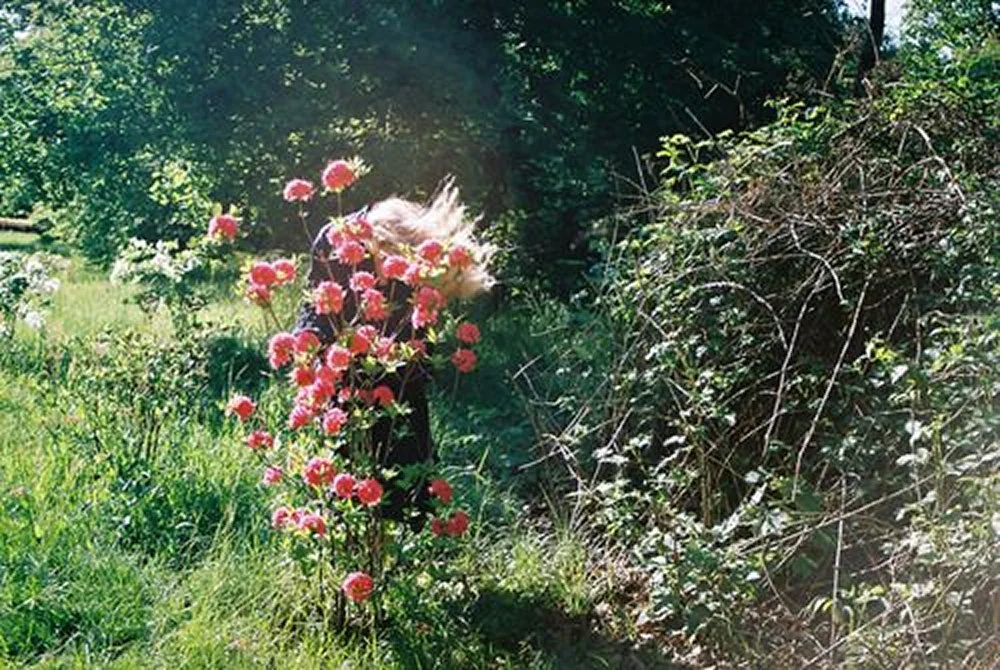 image 103.jpg