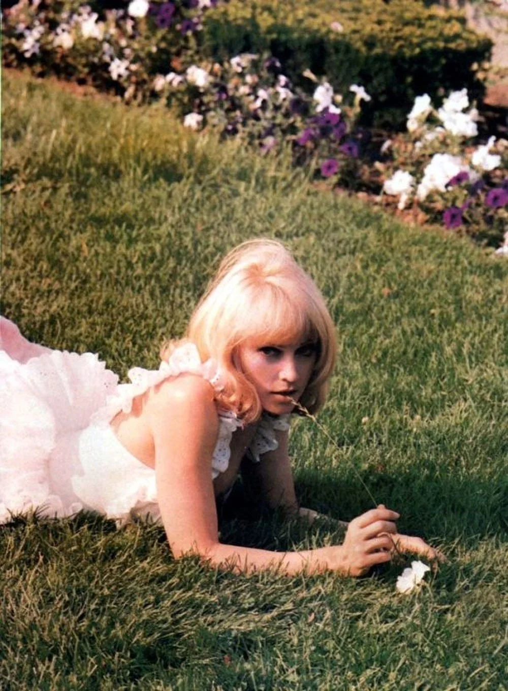 image-82.jpg
