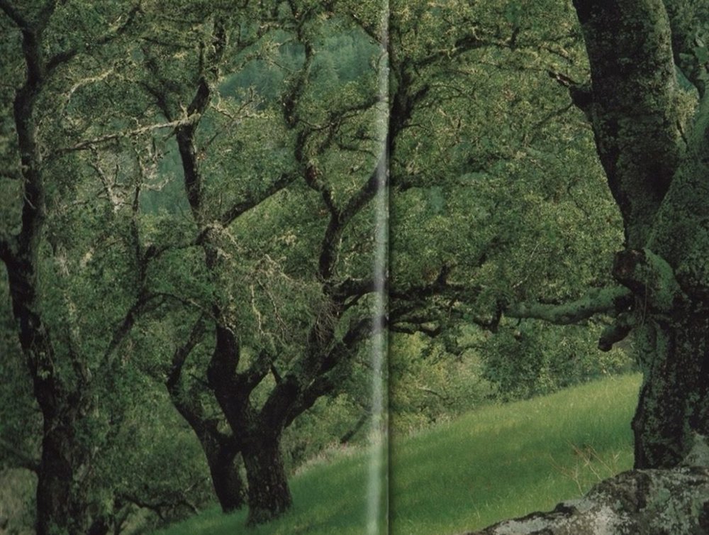 image 37.jpg