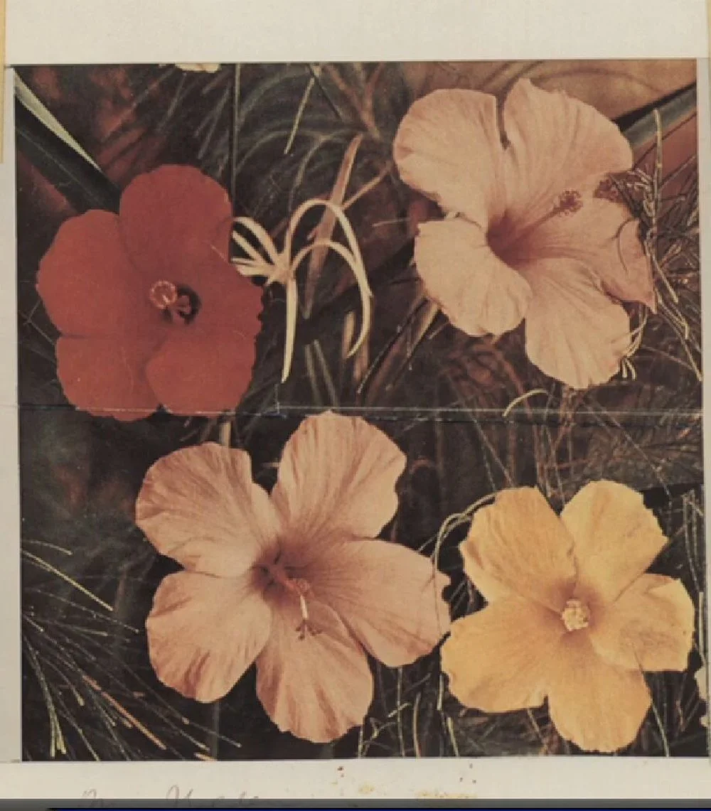 image 6.jpg