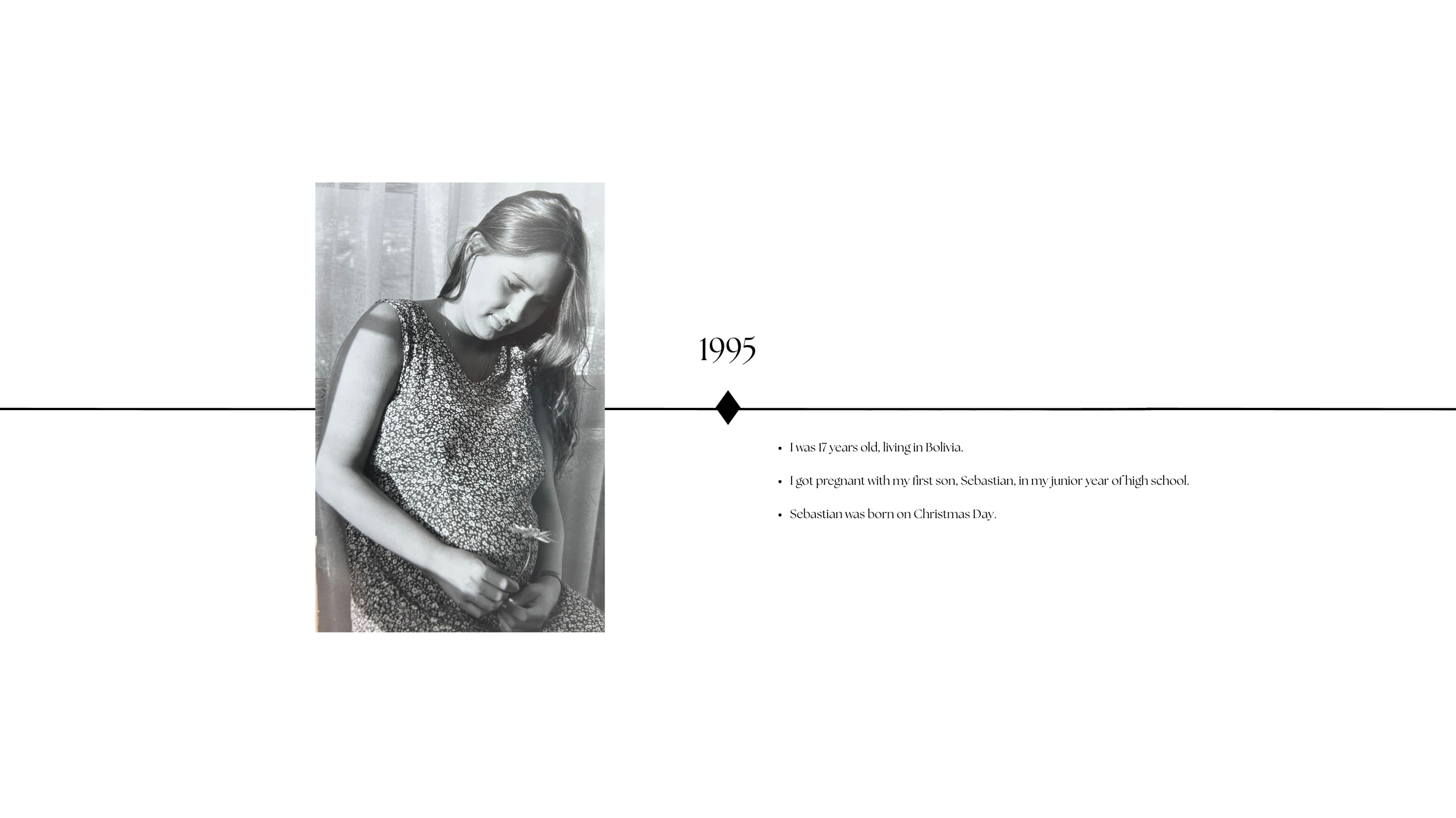 websitetimeline1.png