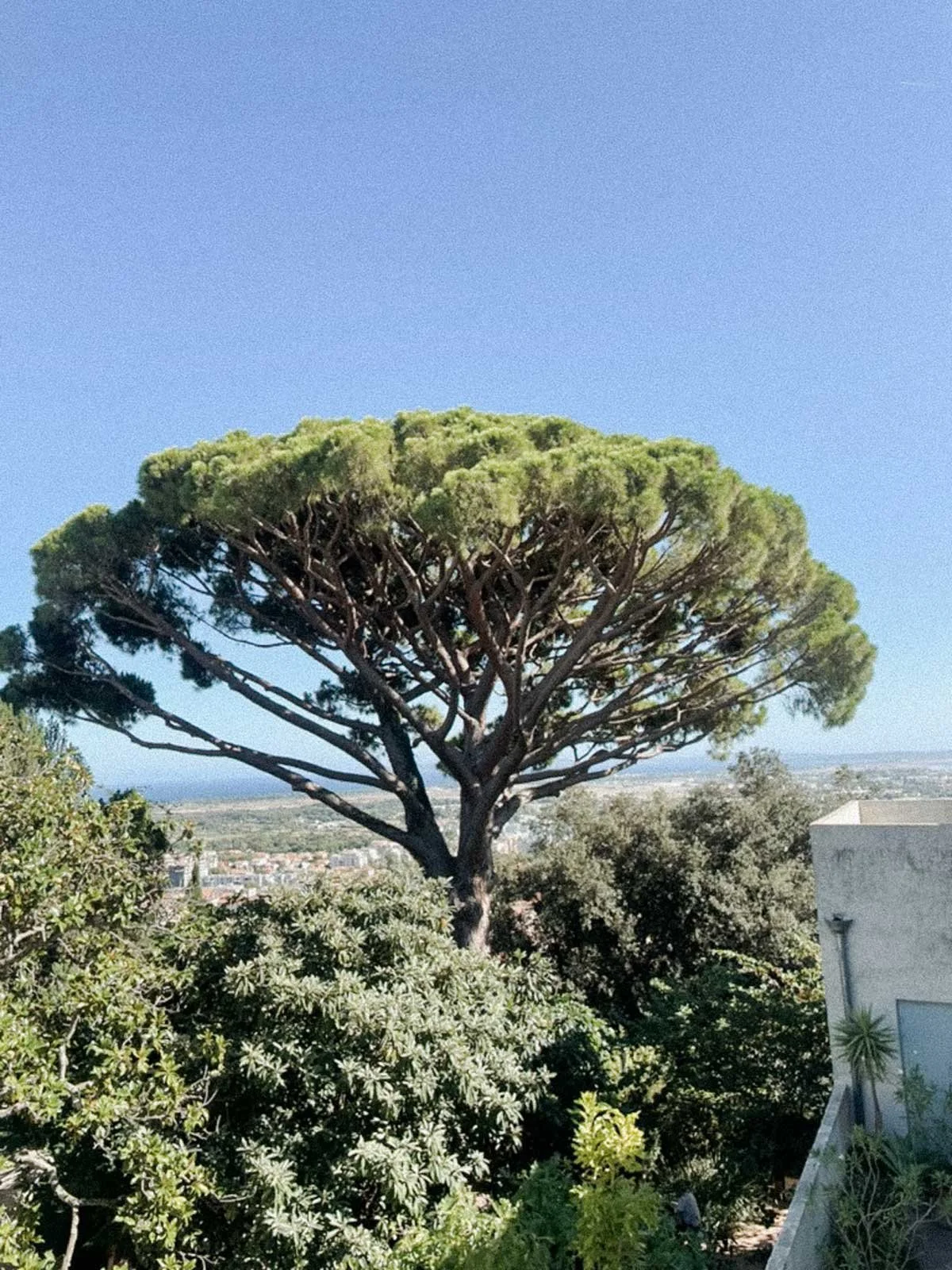 Regard sur l’année 2025 : ce que j’ai appris et ce que je cultive