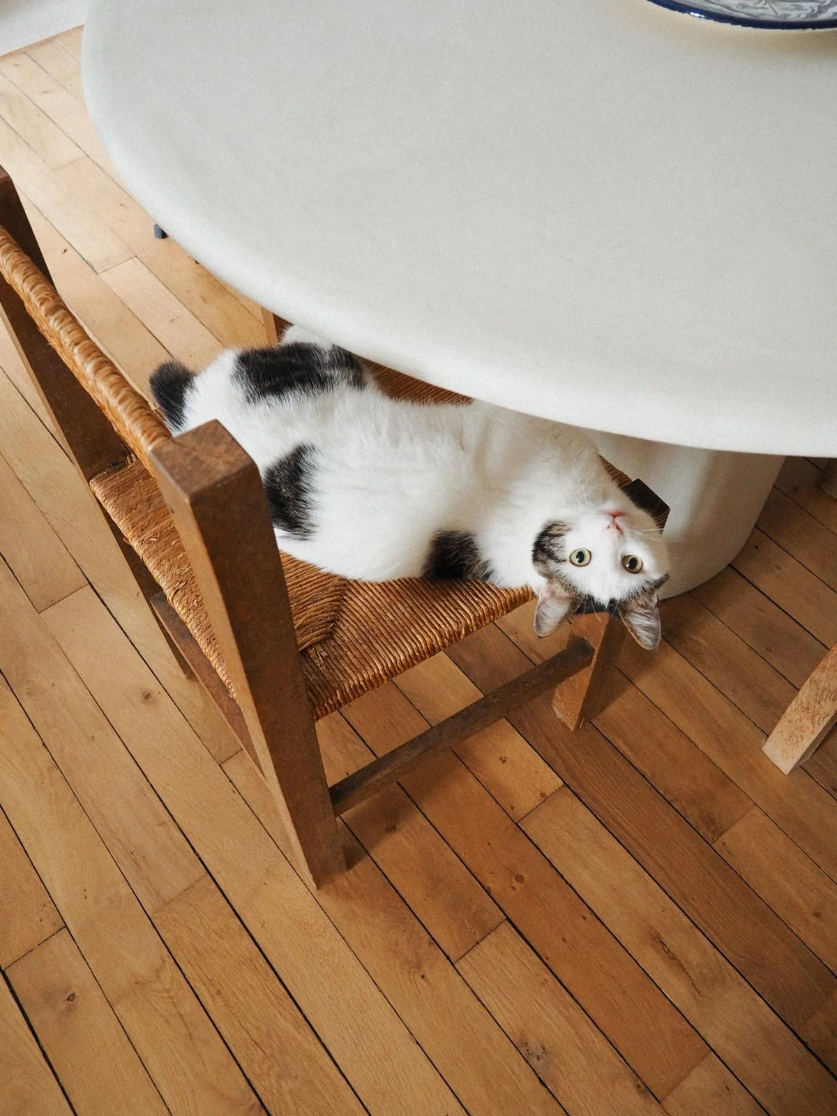 Parquet ancien dans un appartement rénové à Toulon dans le Var par un menuisier