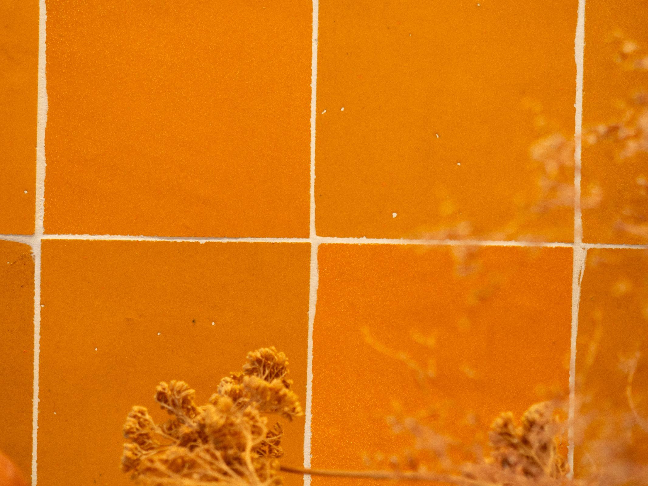 Crédence en zellige dans une cuisine sur-mesure conçue dans le Var par une architecte d'intérieur