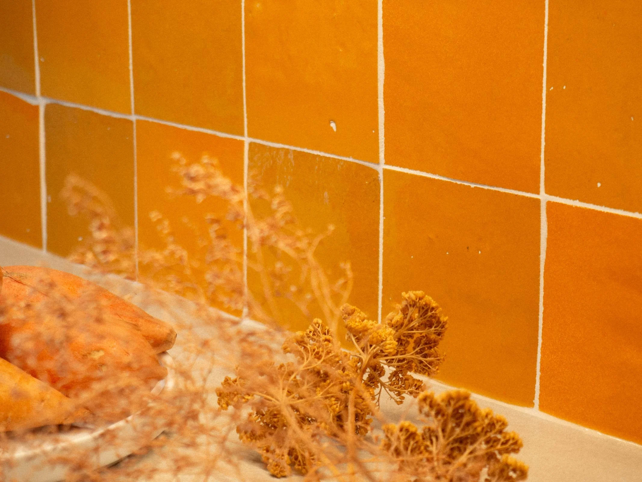 Appartement Chemin Vert