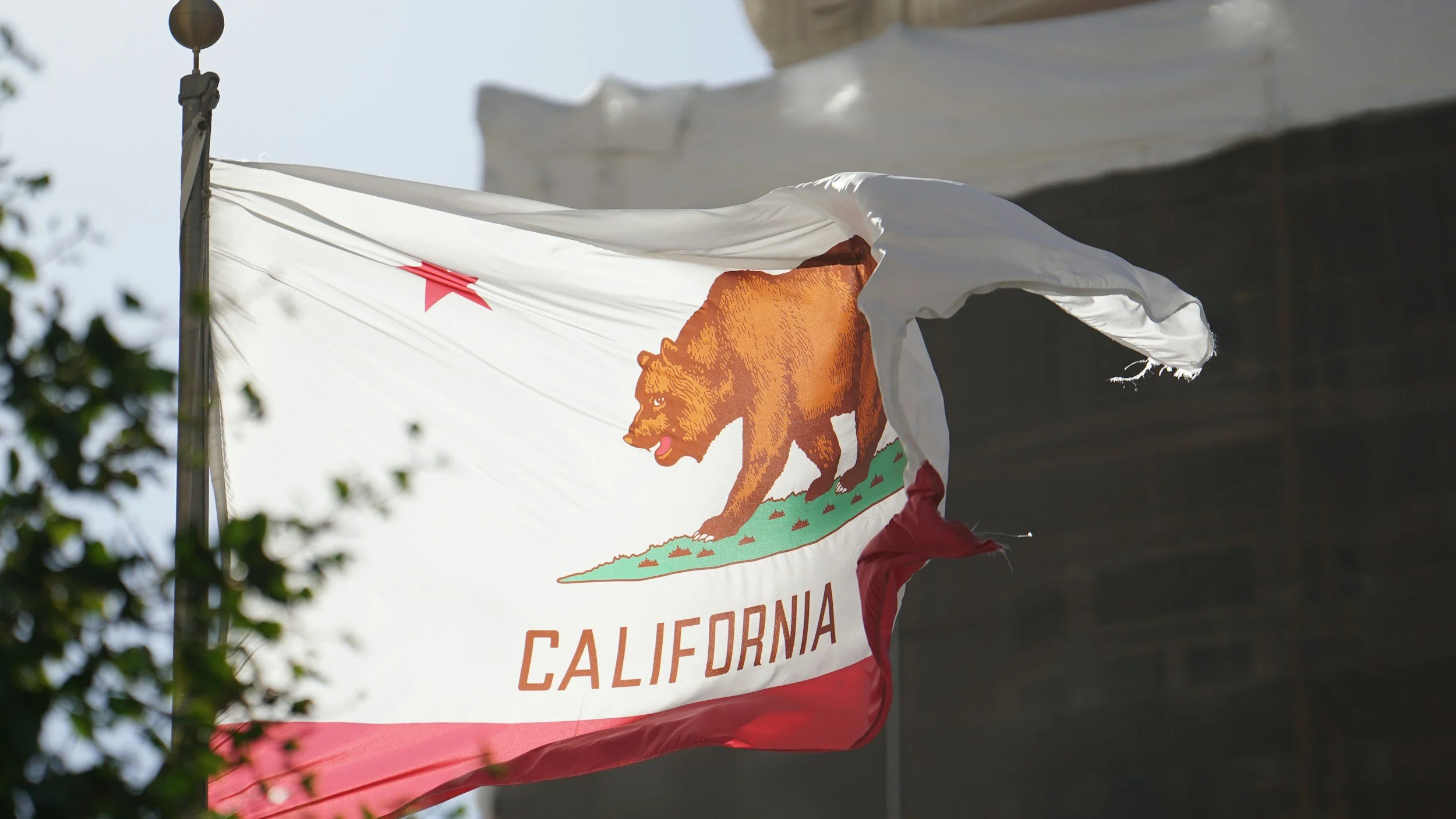 Prop. 50 Passes – What’s Next?