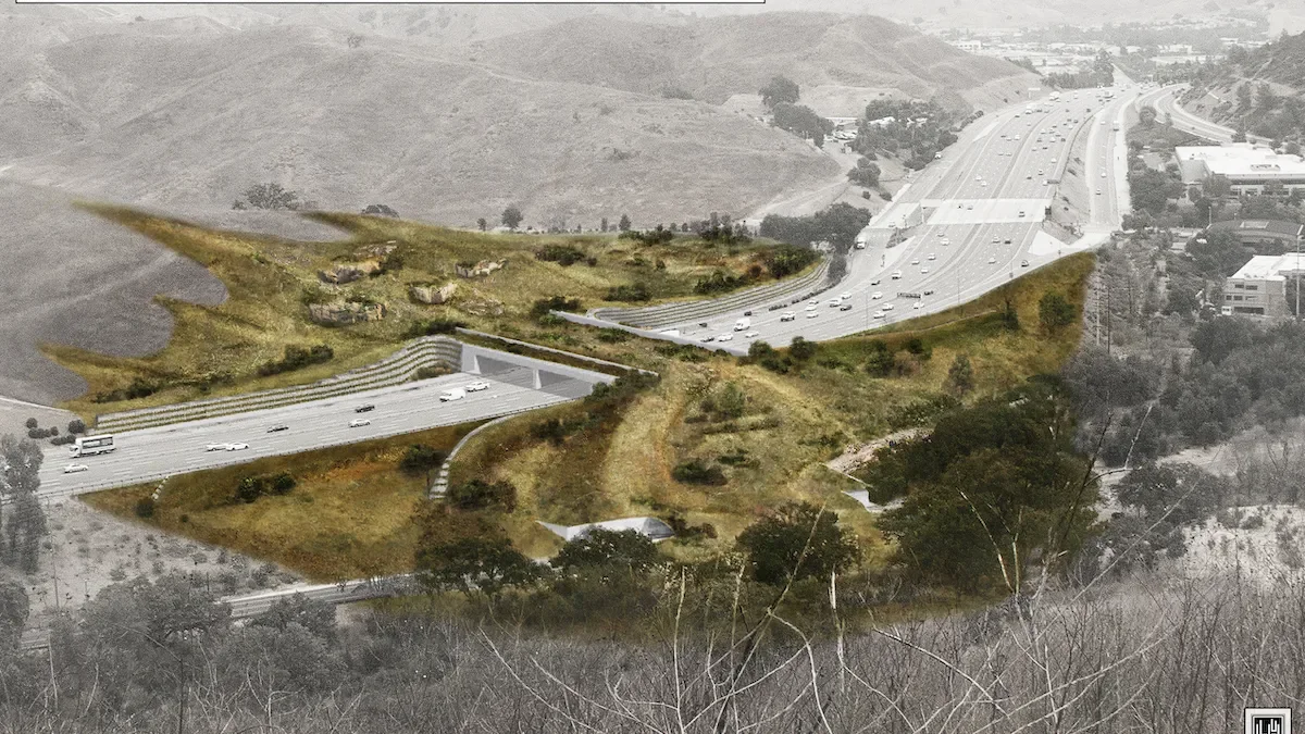 The Bridge that Costs Millions, but Goes Nowhere