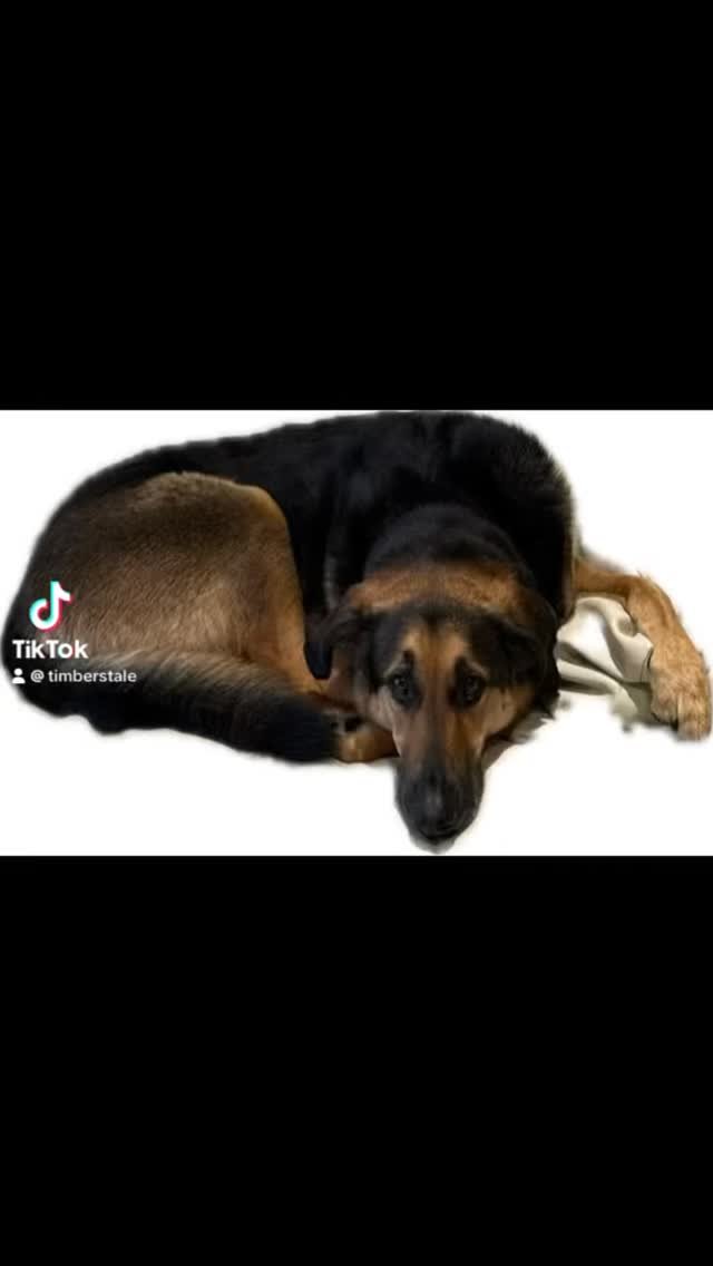 Slide 7