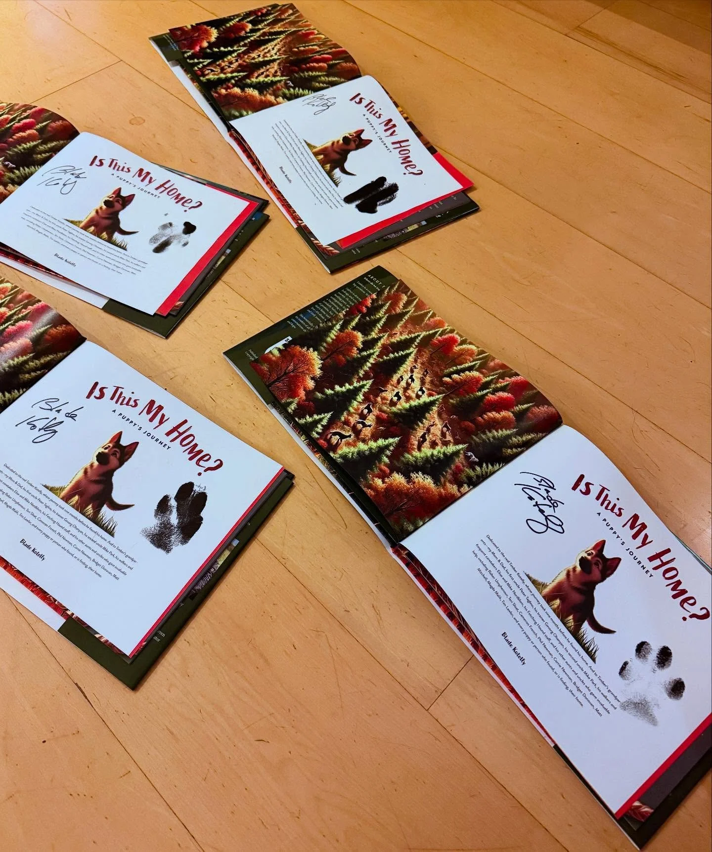 📚🐾 Exciting news! Is This My Home? A Puppy&rsquo;s Journey will be at the Children&rsquo;s Local Author Fair this Saturday! The event is hosted by Hummingbird Books and features local authors, crafts, characters and face painting. 🌟 
Blade will be