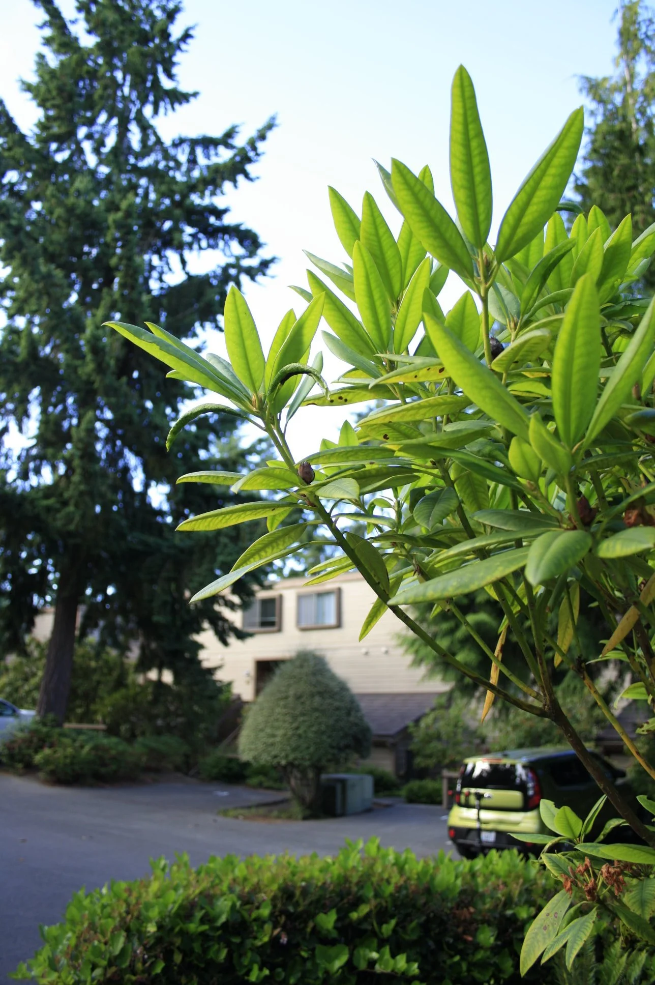 Kala Point About Kala Point — Kala Point Village