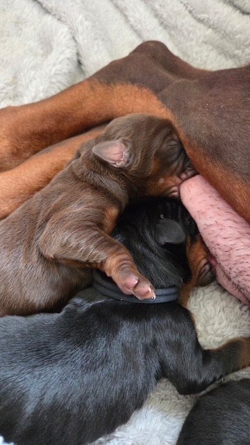 Olympics 12-11(1).jpg