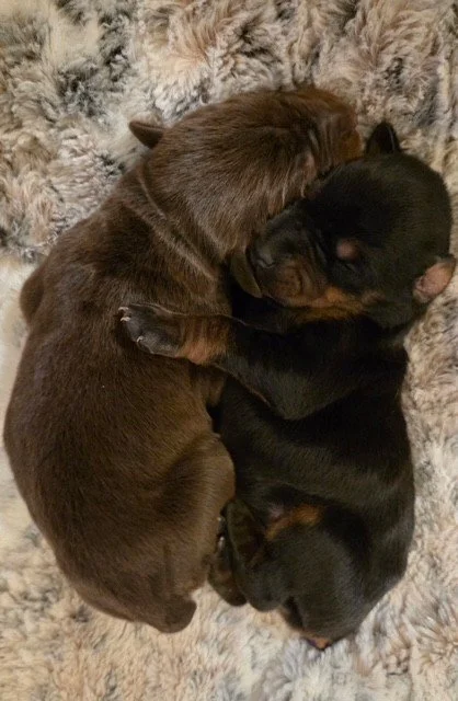 Elena & Bea - 1 week.jpg