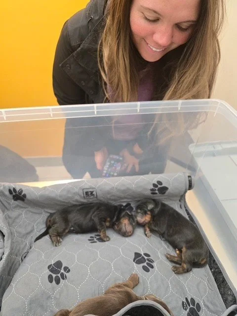 Olympics 12-8 (1).jpg