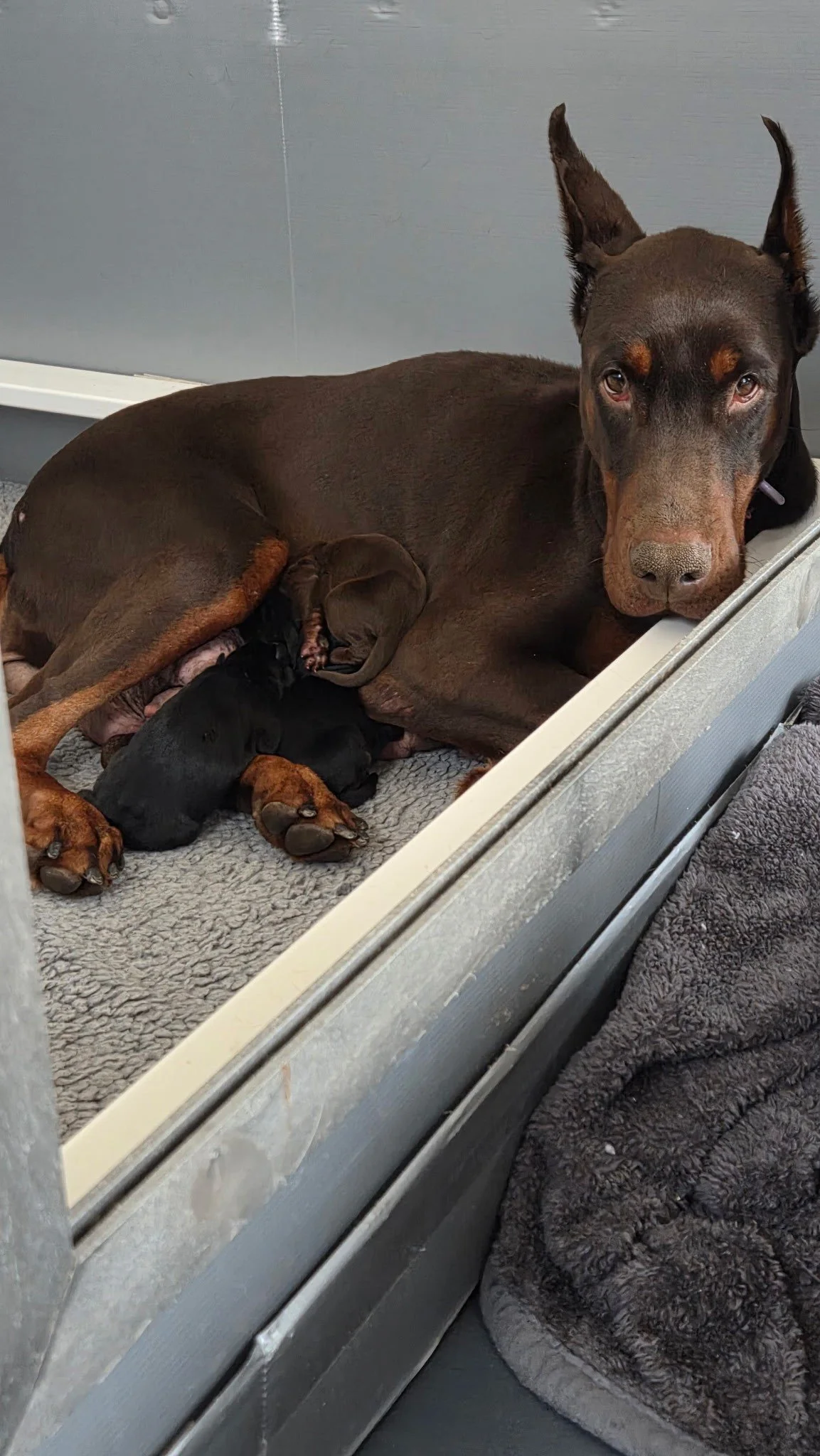 Olympics 12-10(1).jpg