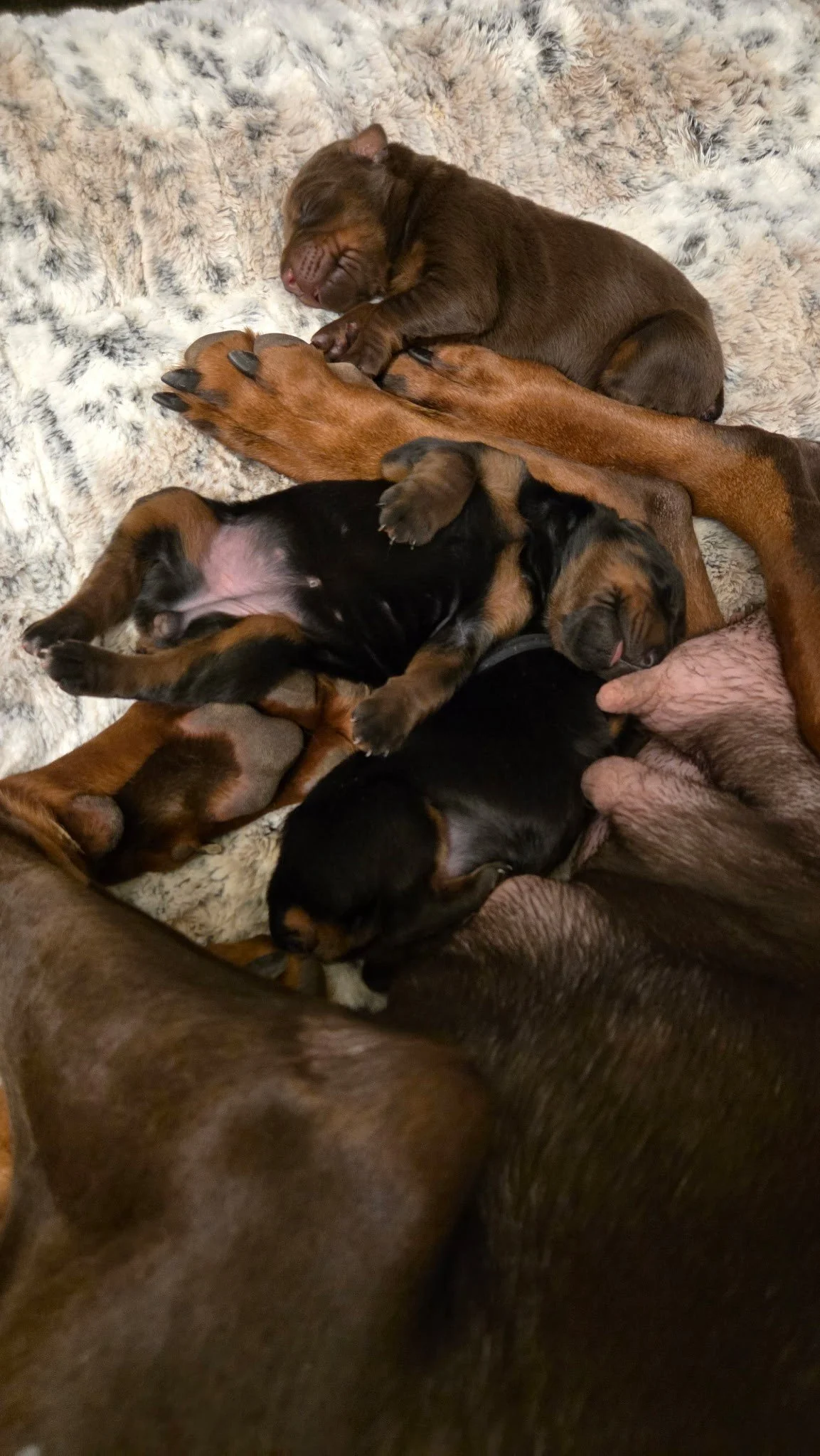 Olympics - 1 week.jpg