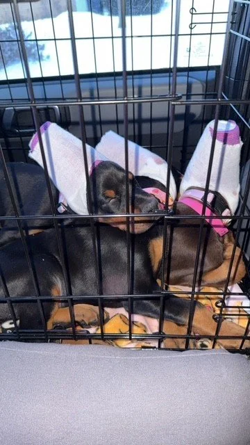 Olympics - 7 weeks (11).jpg