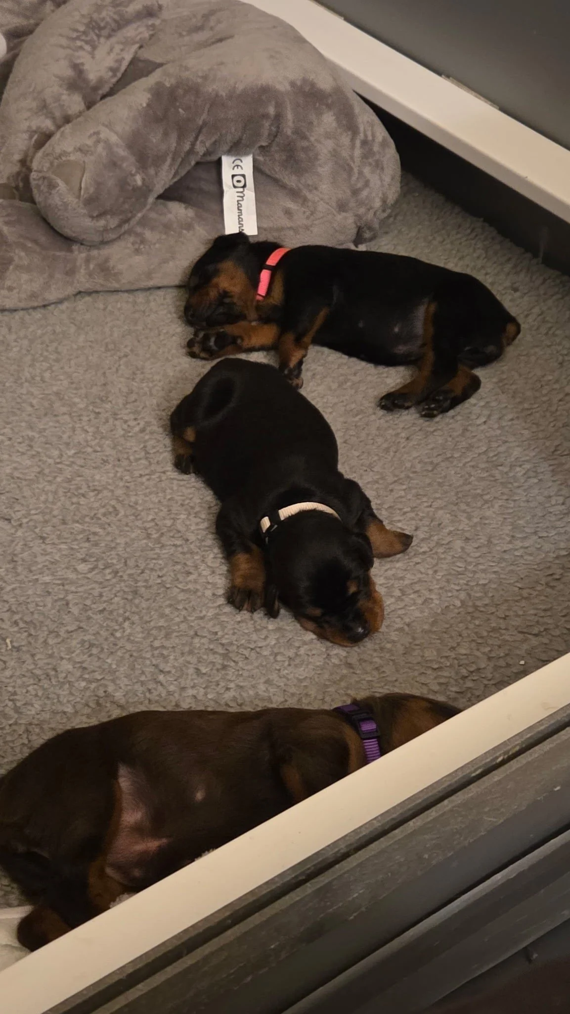 Olympics - 18 days (1).jpg