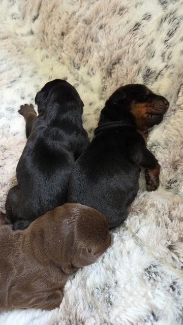 Olympics - 3 days(1).jpg