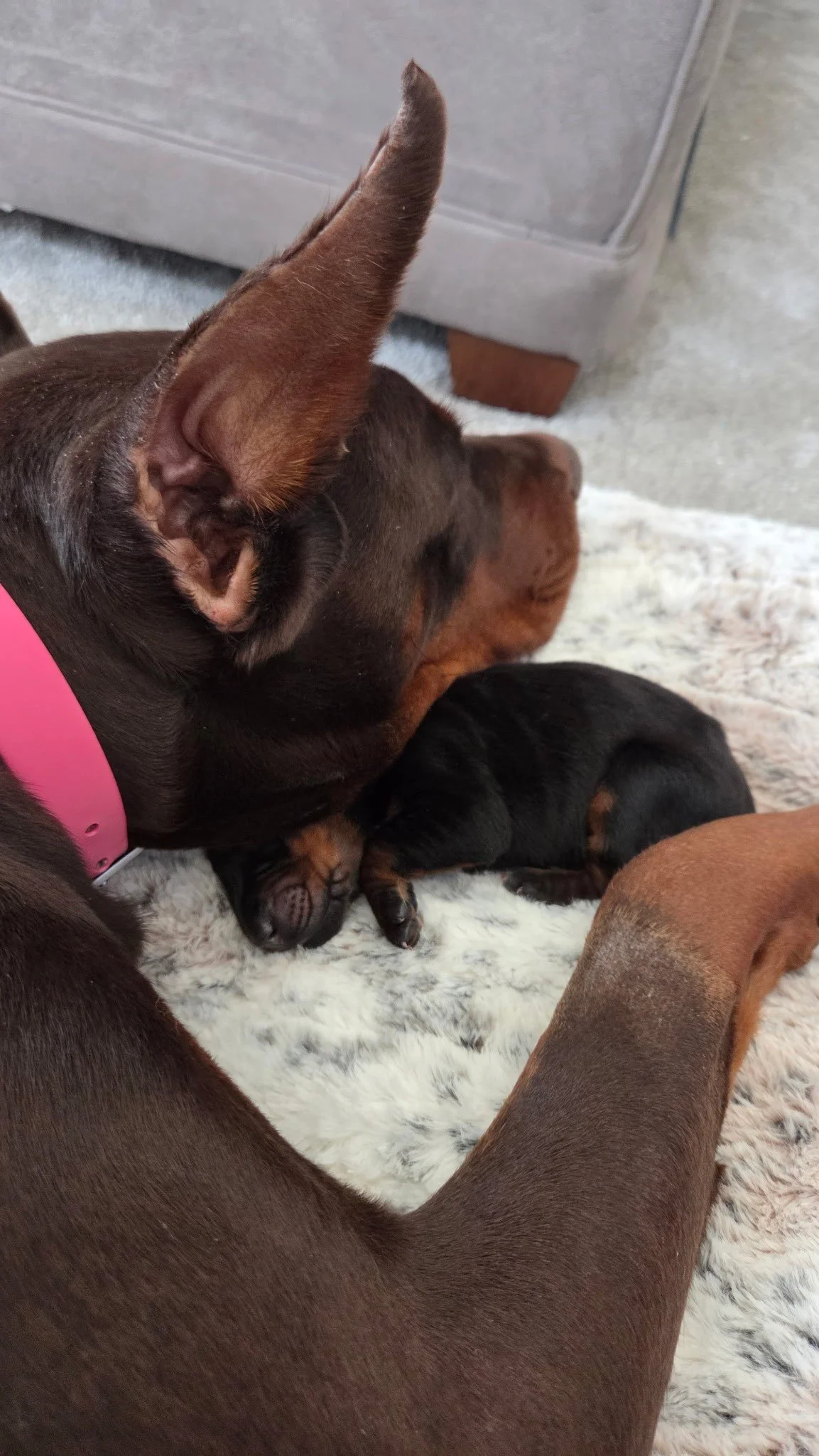 Olympics - 3 days (3).jpg