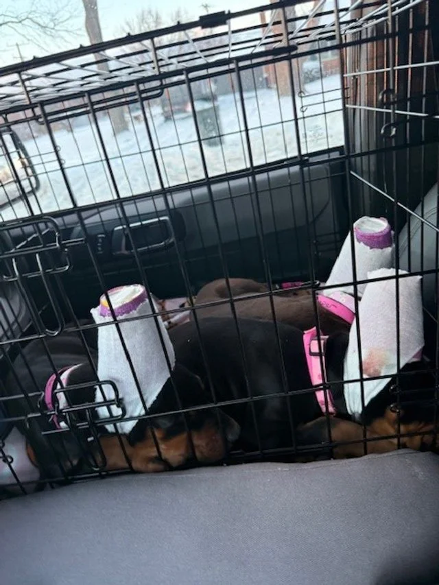 Olympics - 7 weeks (9).jpg