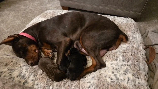 Olympics - 1 week (2).jpg