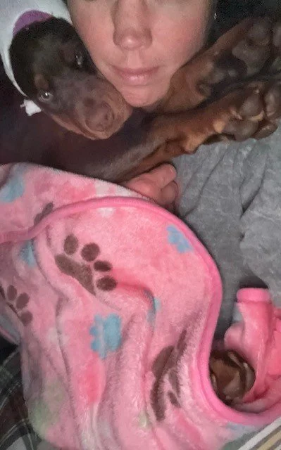 Elana - 7 weeks (3).jpg