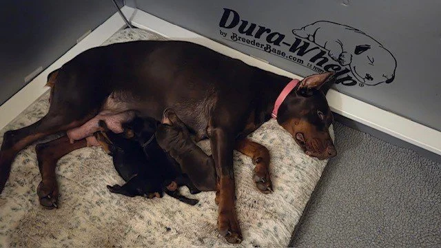 Olympics - 9 days (10.jpg