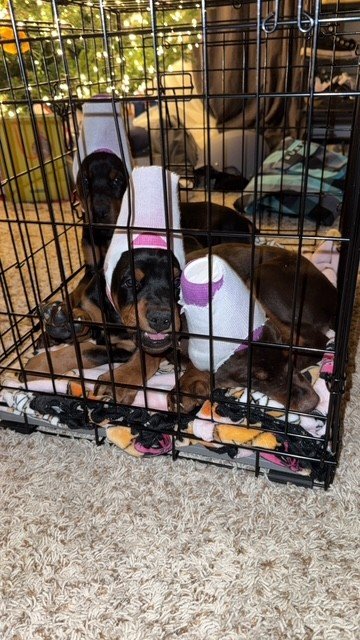 Olympics - 7 weeks (12).jpg