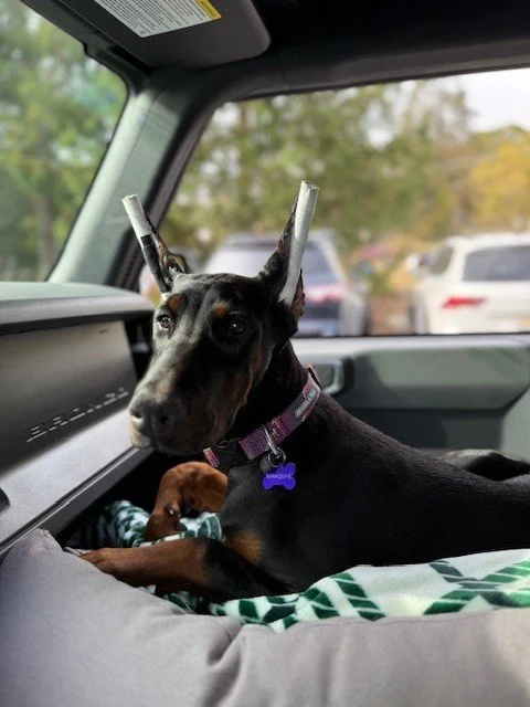 Eva - October 2025 (2).jpg