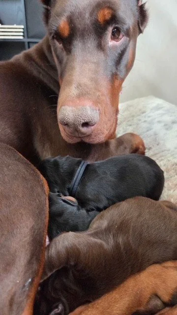 Olympics - 3 days.jpg