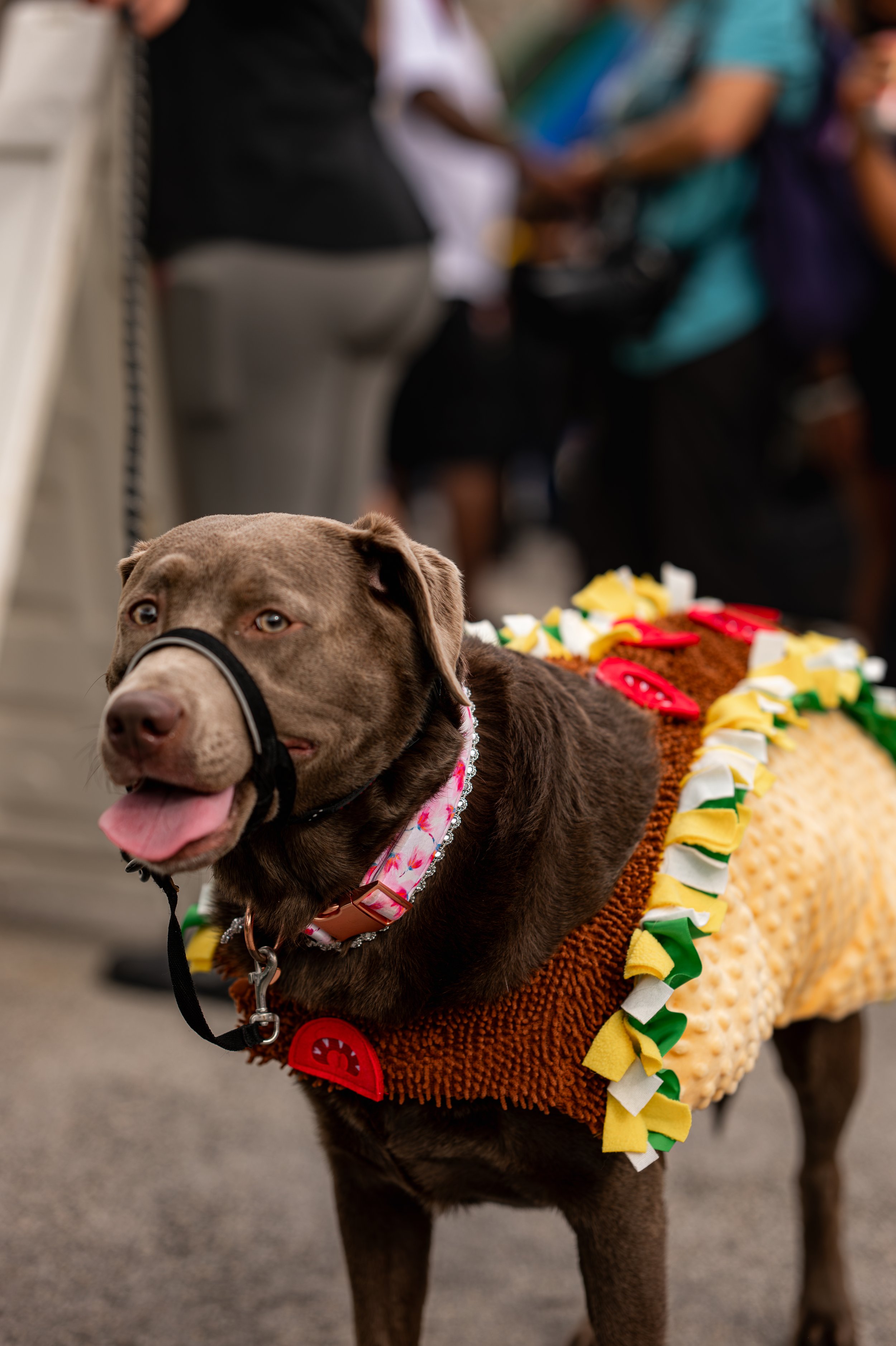 DSC_6744.jpg
