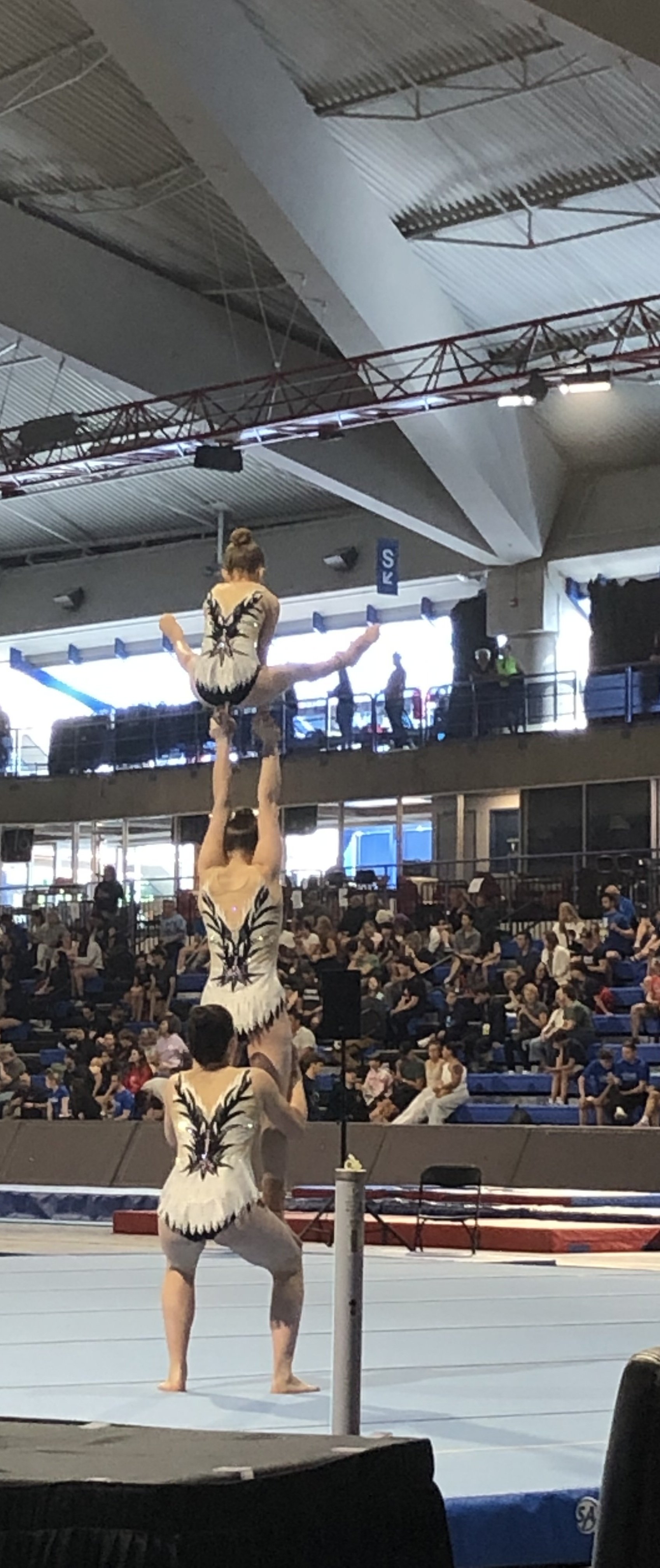 Three gymnasts performing a routine on a balance beam in an indoor gymnasium, with an audience watching in the background.
