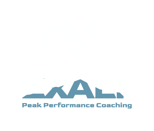 Logo for Peak Performance Coaching featuring stylized mountain peaks and the company name.