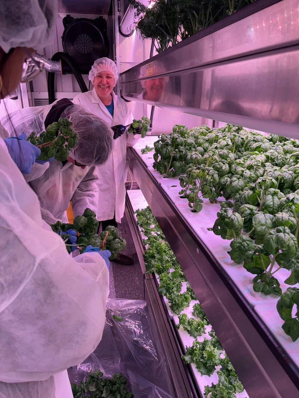 Community members training in hydroponic growing at a Rootcamp session