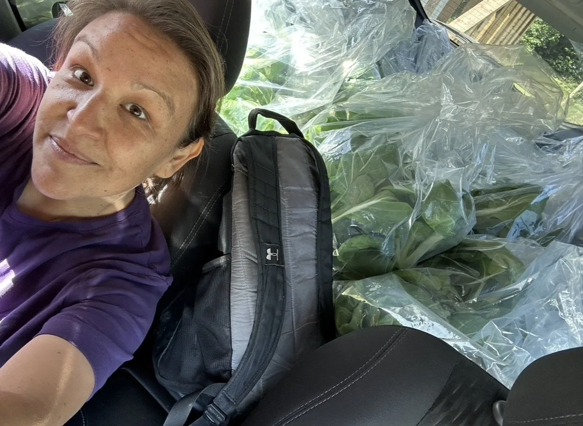 A grower holding freshly harvested leafy greens on a distribution day