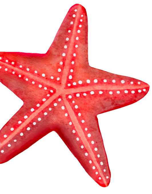 Oceanfront Boardwalk Inn & Suites hotel in Daytona Beach offering 35% off for Black Friday