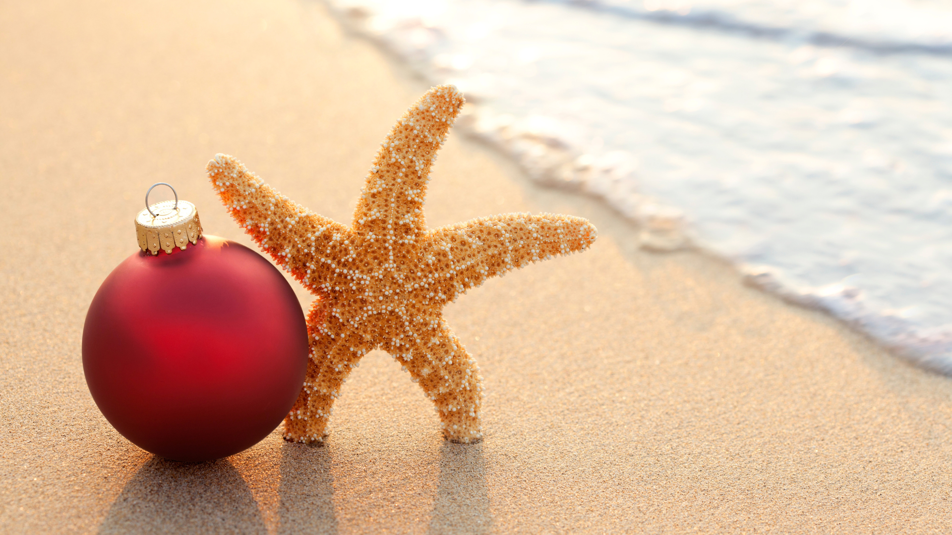 Daytona Beach Getaway – Black Friday Hotel Discounts at Boardwalk Inn &amp; Suites