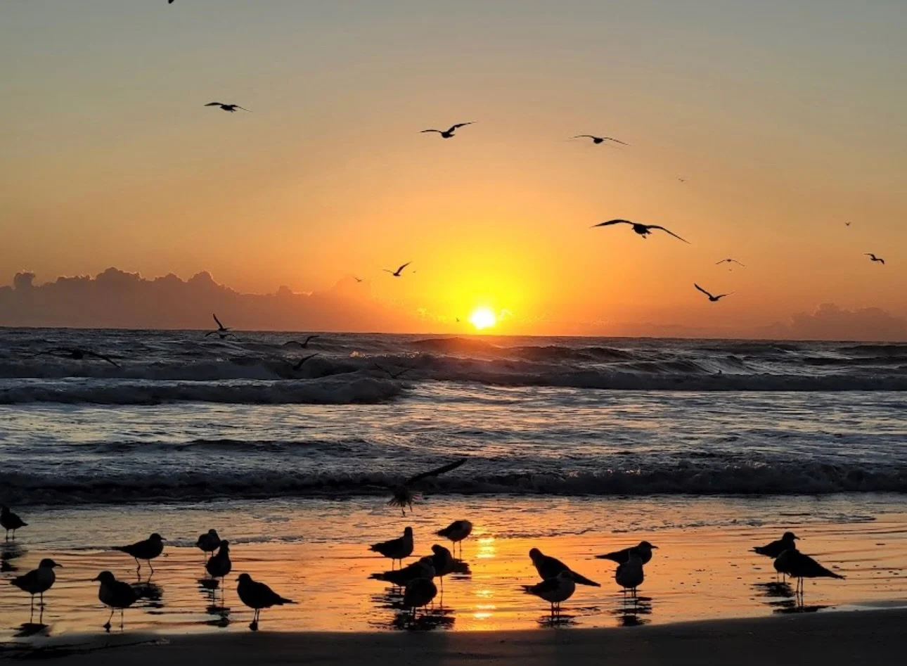 Captured by our guest Angela during her stay at Boardwalk Inn &amp; Suites 🌅📸

Morning views like this are the perfect way to start the day in Daytona Beach.

Have photos from your stay? Tag us for a chance to be featured next.

Make it your turn t