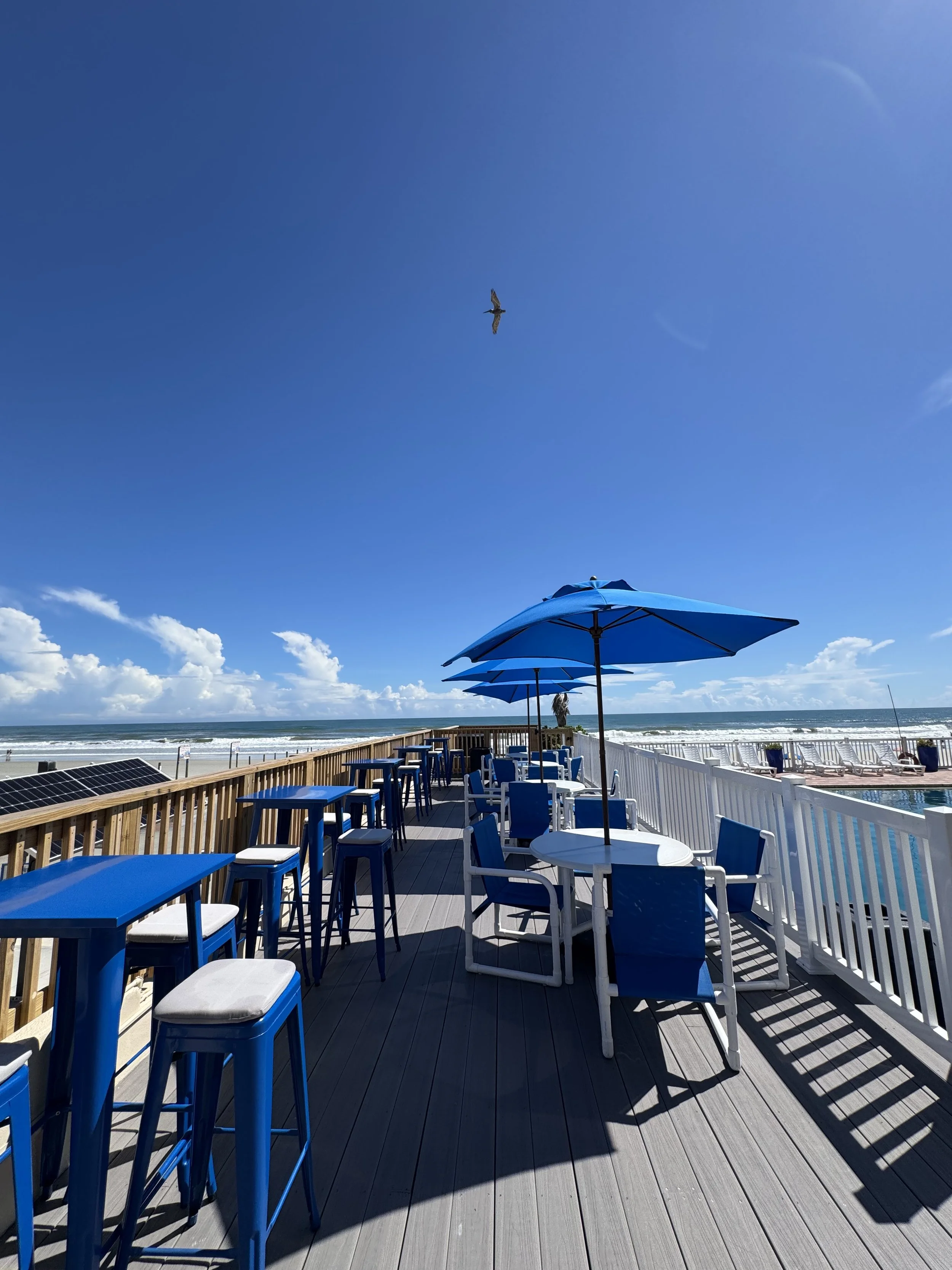  Snapper Bar in Daytona Beach Florida 