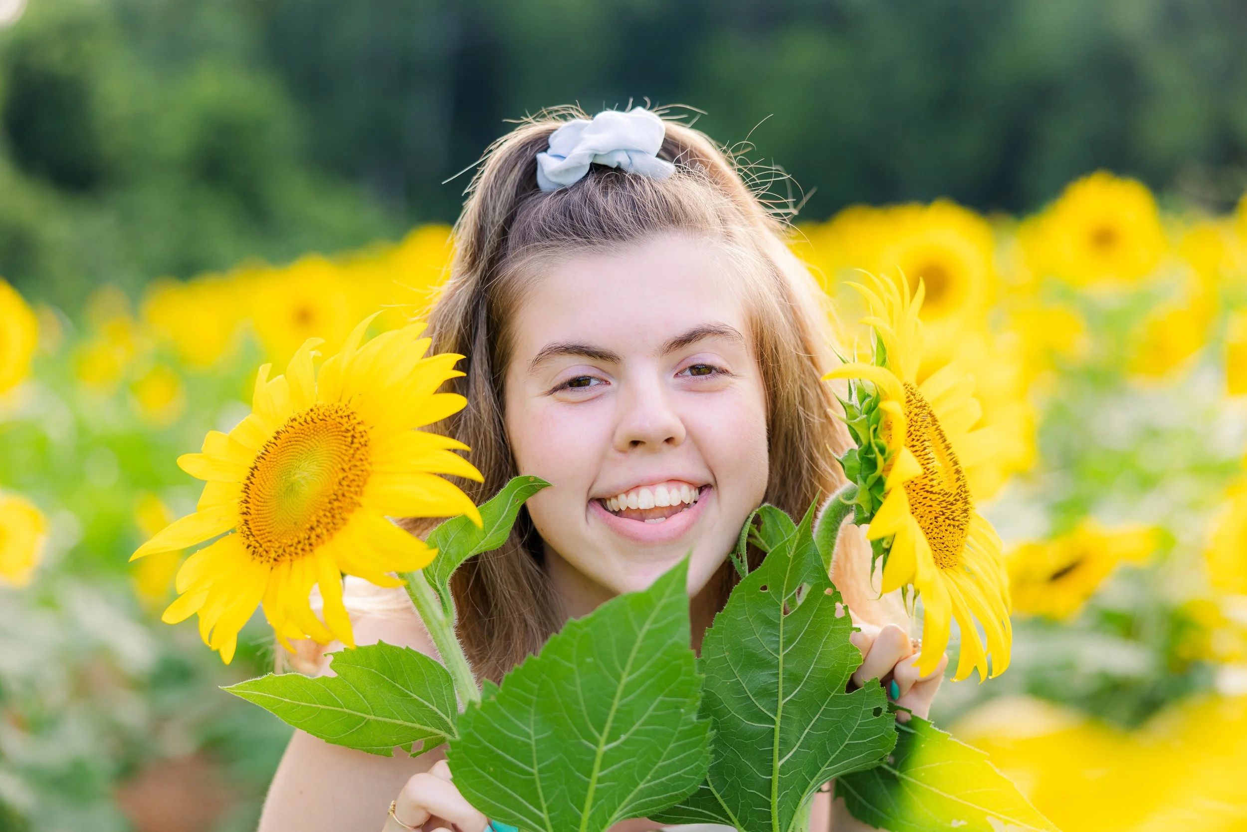 Annabel Sunflower portrait Monroe NC