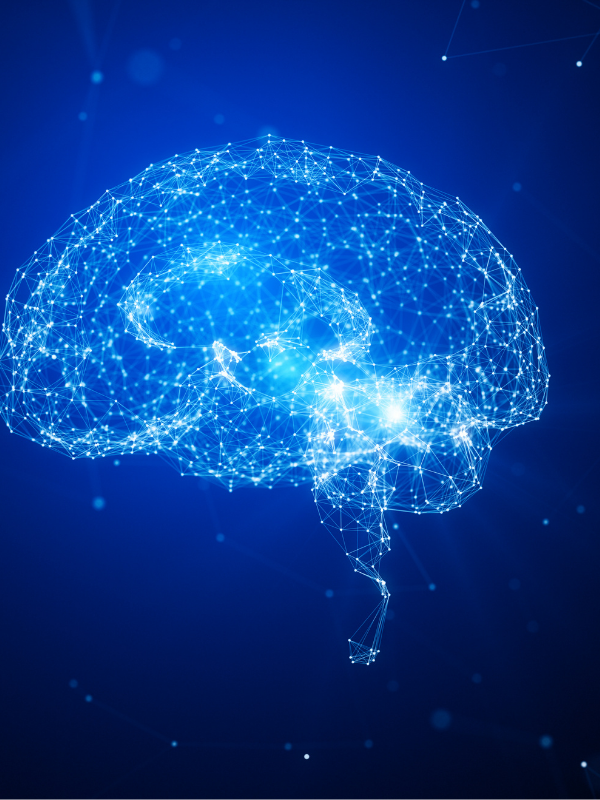 Blue digital picture of a brain.