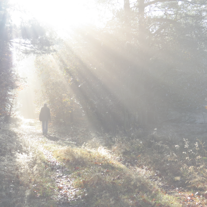 Mediumship, Psychic Medium, Afterlife, Death, Renewal, Rebirth