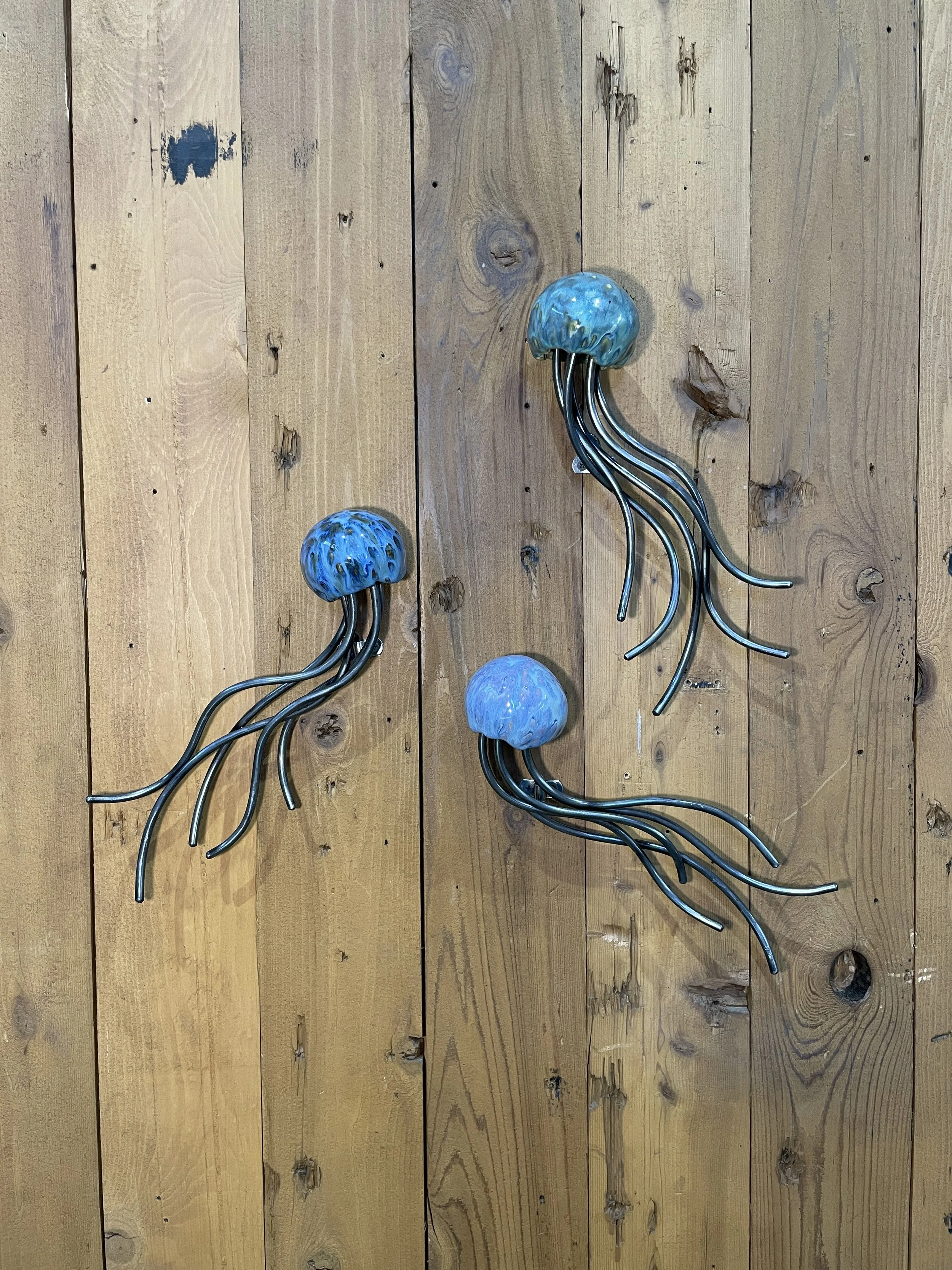 Jellyfish