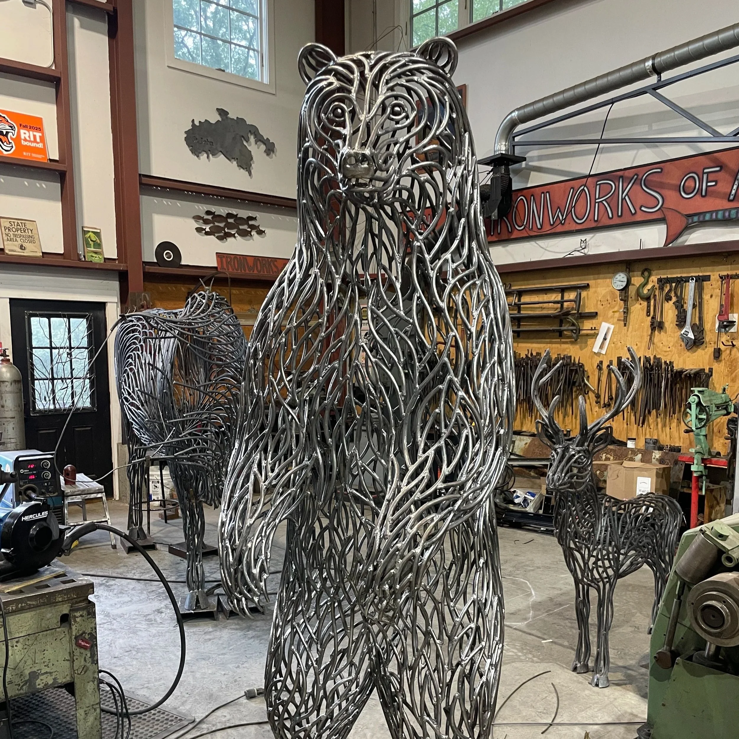 Grizzly Bear - steel 4' x 8'