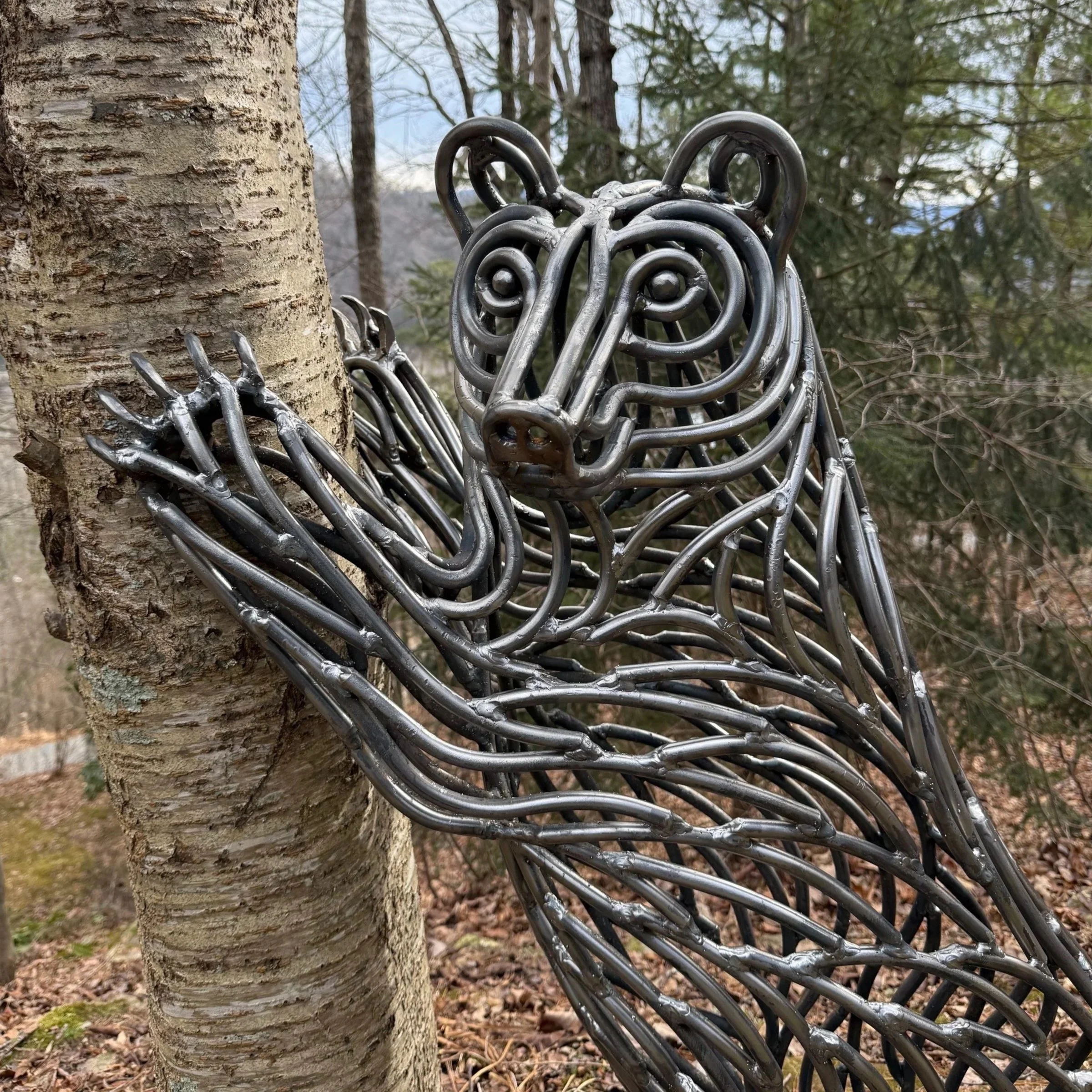 Black Bear - 2' x 4'