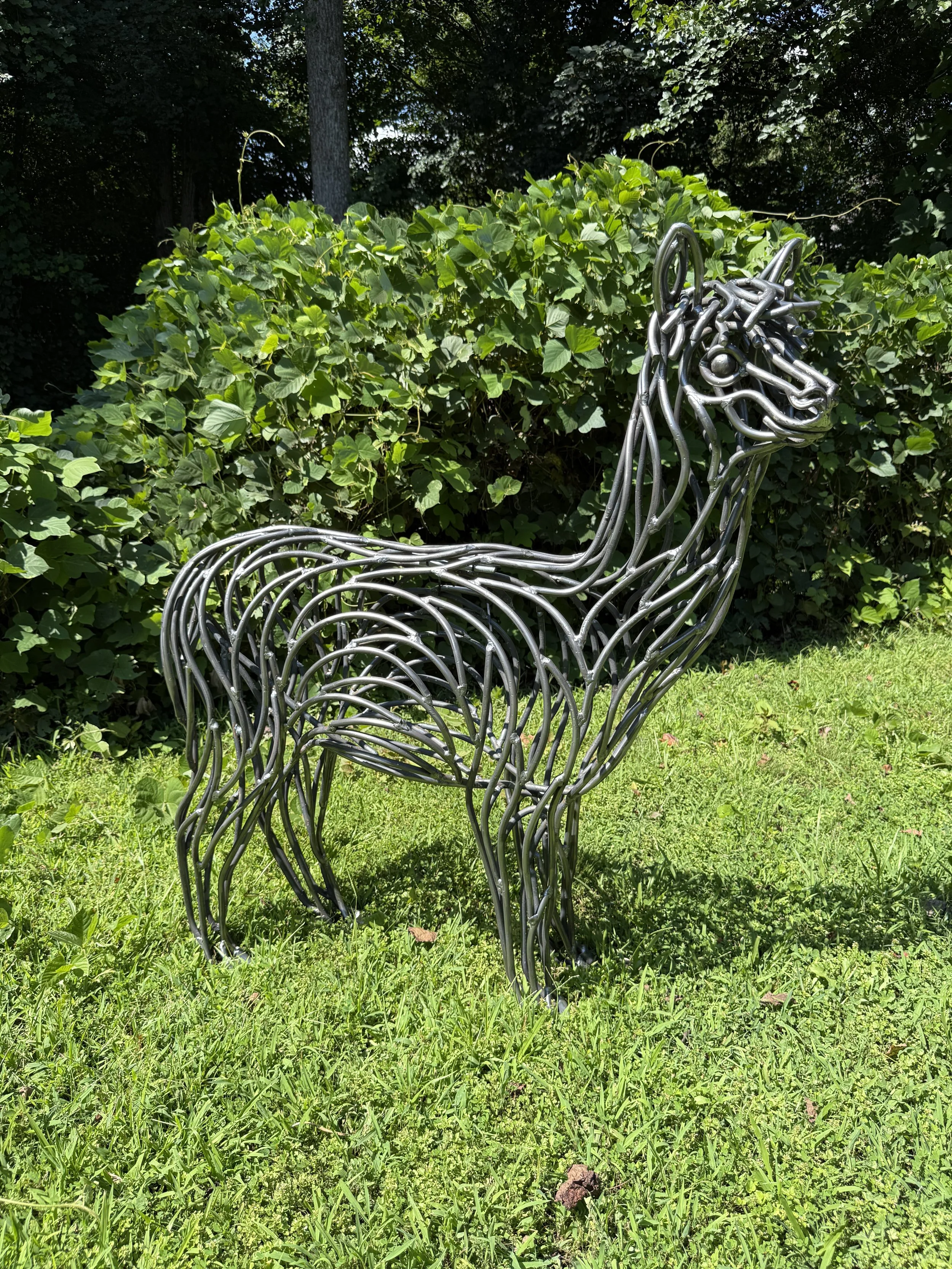 Alpaca - 4' x 5'