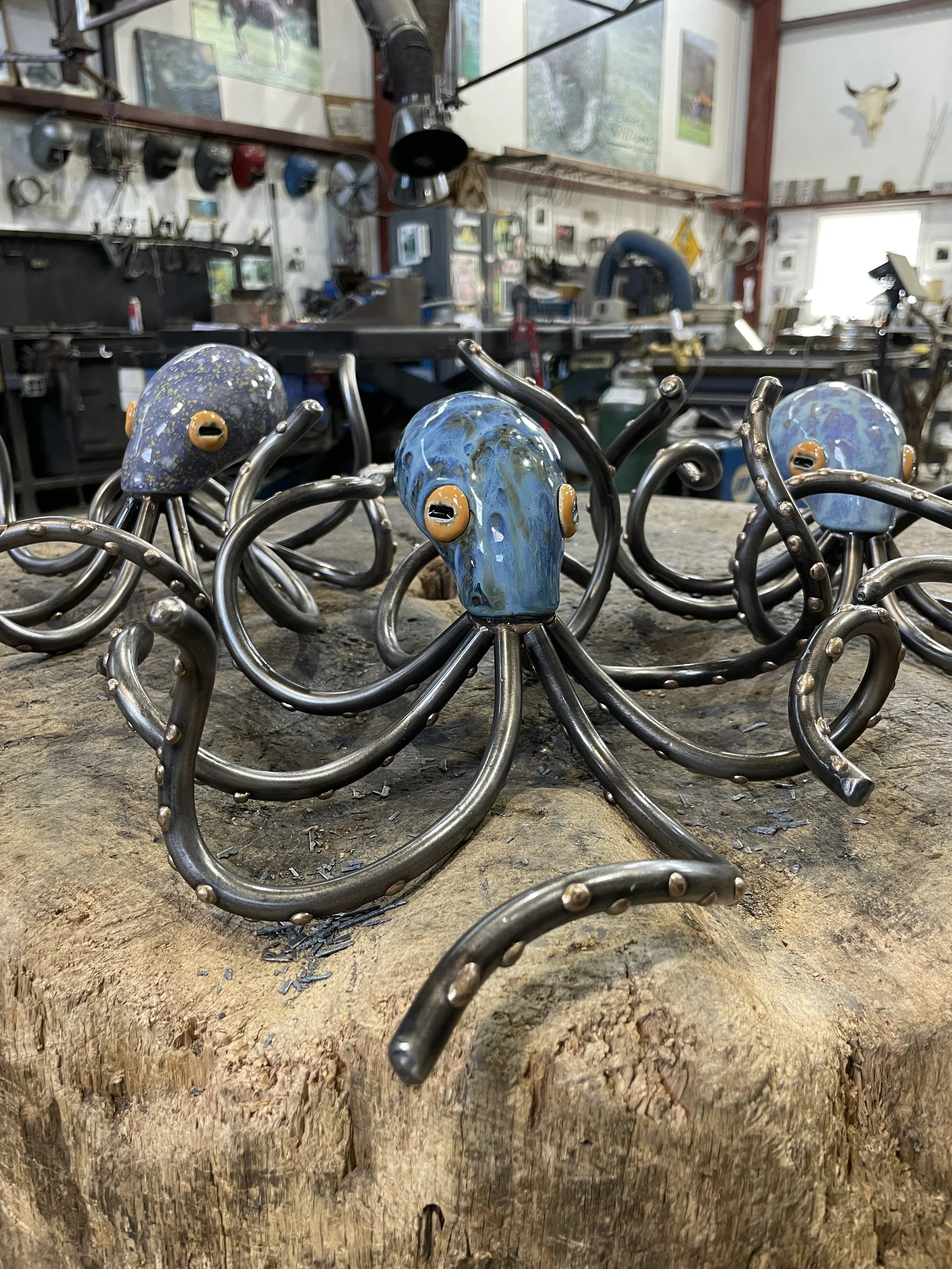 Octopus
