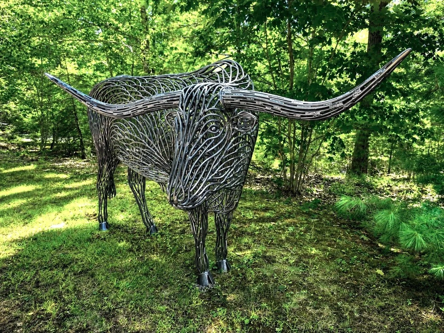 Texas Longhorn - 13' x 6'