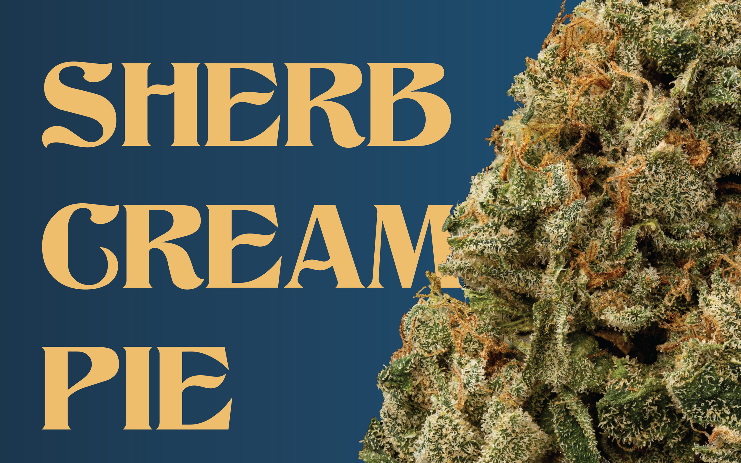 Sherb Cream Pie Reviews