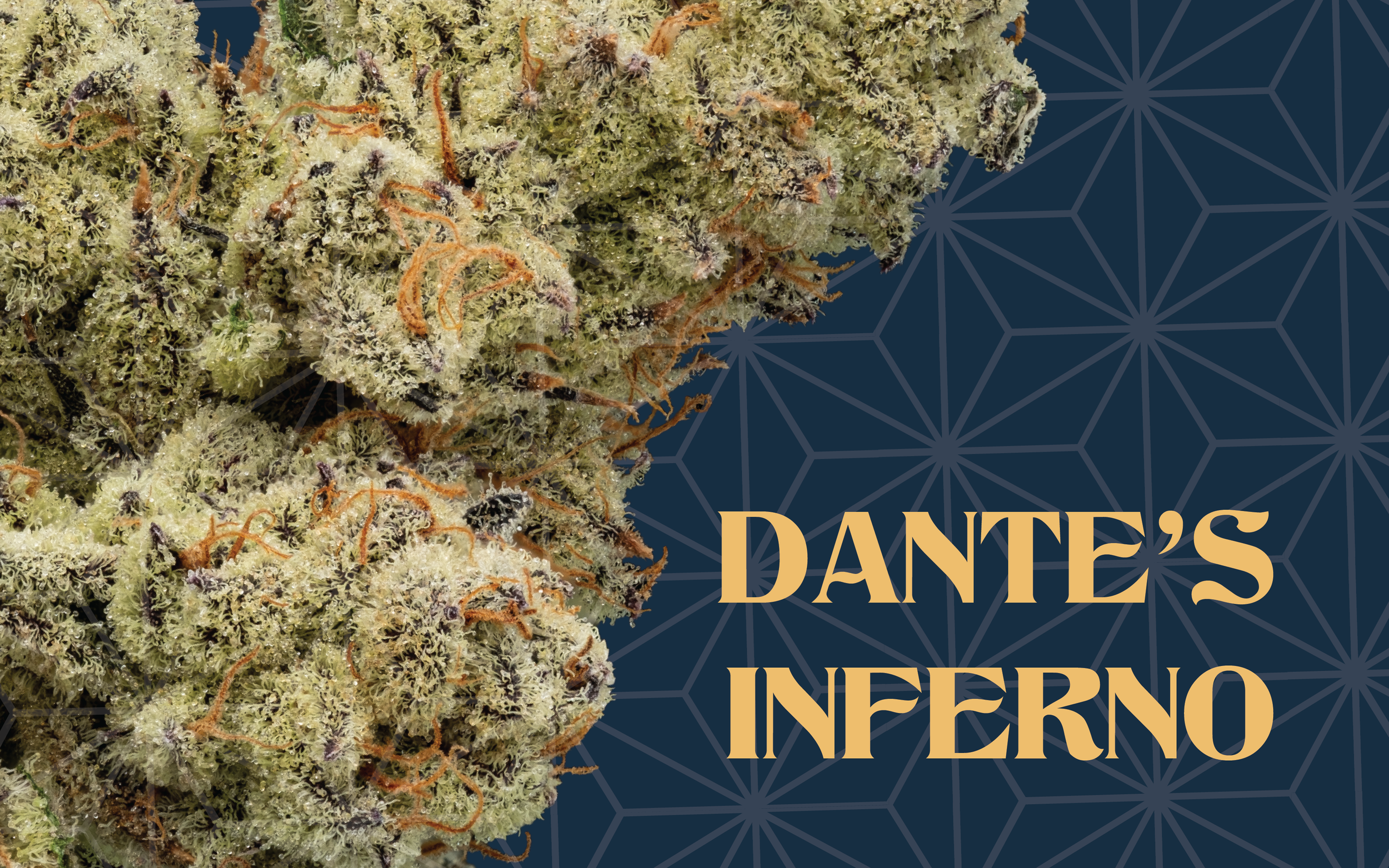 Dante’s Inferno Reviews